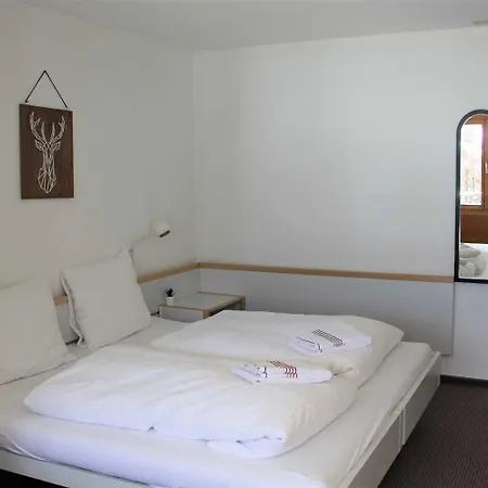 - Elements Lodge Γκρίντελβαλντ