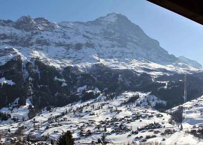 - Elements אכסניה *