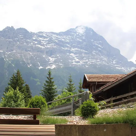 بيت خشبي - Elements