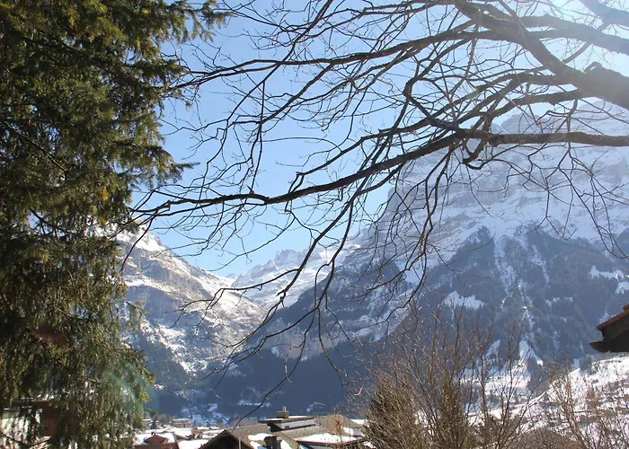 بيت خشبي - Elements *