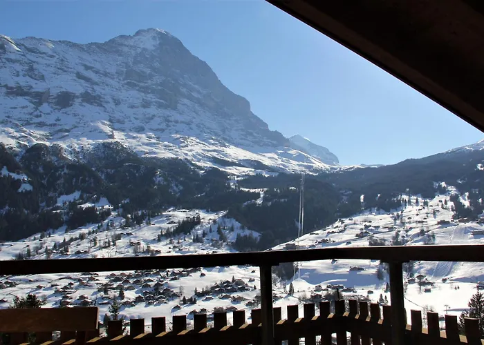 - Elements بيت خشبي